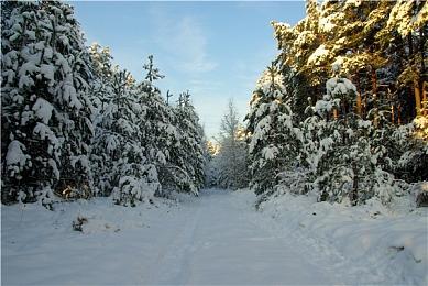 《木卫四协议》口碑一般 发行商股价当天大跌8%