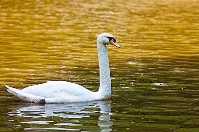 2023年春上线？米哈游新作《崩坏：星穹铁道》大年初三开启测试招募 